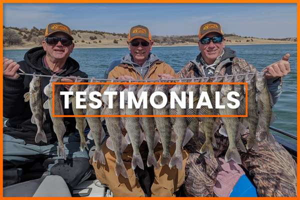 Recharged By The Son Testimonials Recharged By The Son Testimonials